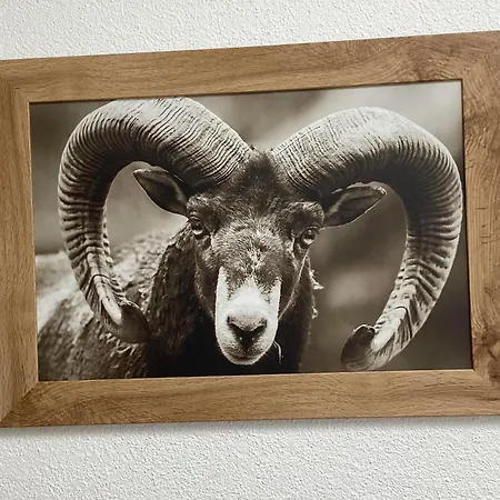 公寓 Zzz Zirbenherz